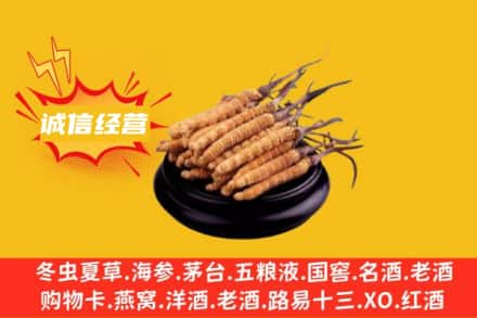 文昌市回收冬虫夏草
